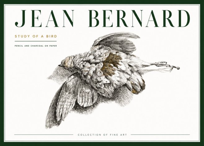 Jean Bernard Study of a Bird III No4 - Plakát