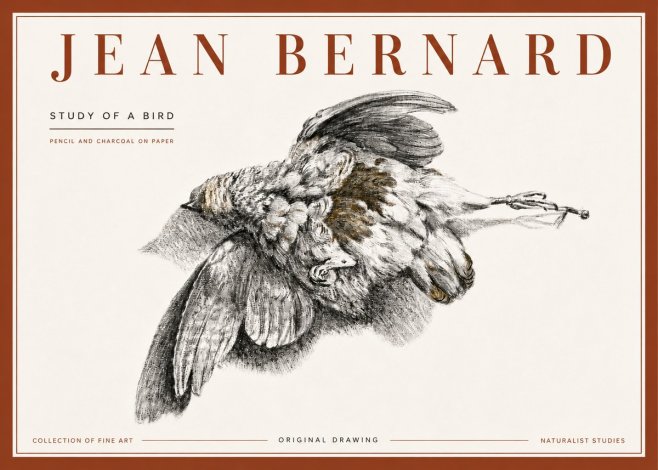 Jean Bernard Study of a Bird III No6 - Plakát