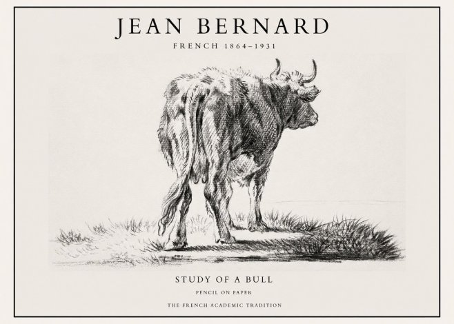 Jean Bernard Study of a Bull V No1 - Plakát