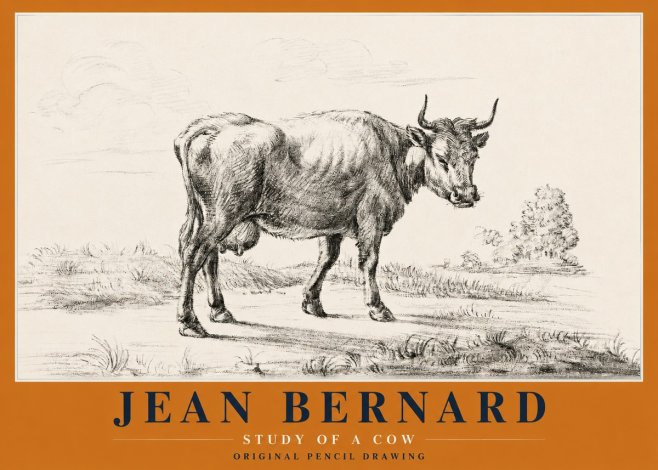 Jean Bernard Study of a Cow XII No2 - Plakát