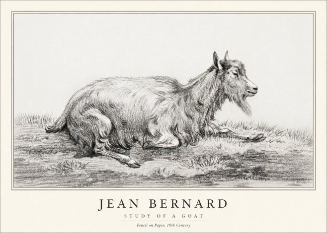 Jean Bernard Study of a Goat V No1 - Plakát