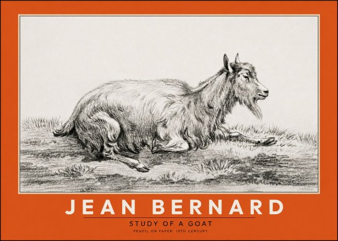 Jean Bernard Study of a Goat V No2 - Plakát