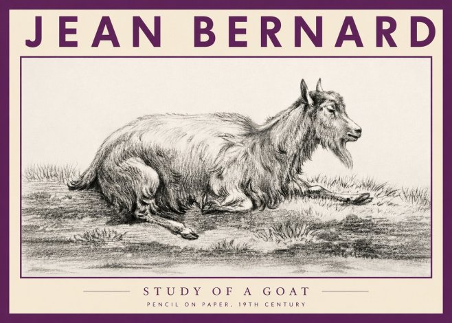 Jean Bernard Study of a Goat V No3 - Plakát