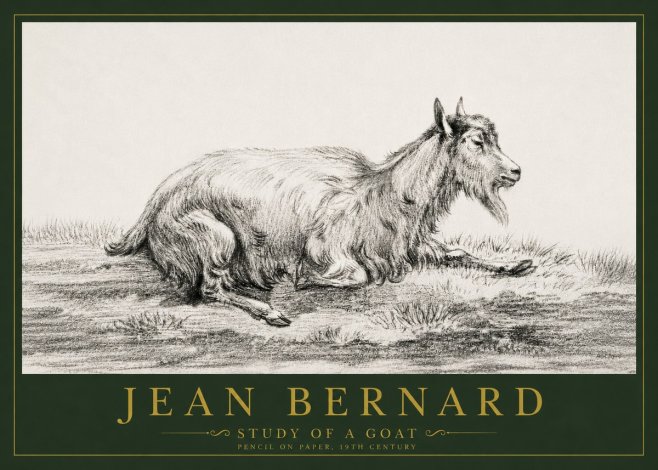 Jean Bernard Study of a Goat V No4 - Plakát