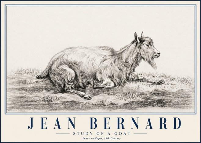 Jean Bernard Study of a Goat V No5 - Plakát