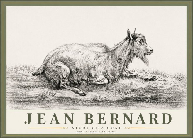 Jean Bernard Study of a Goat V No6 - Plakát