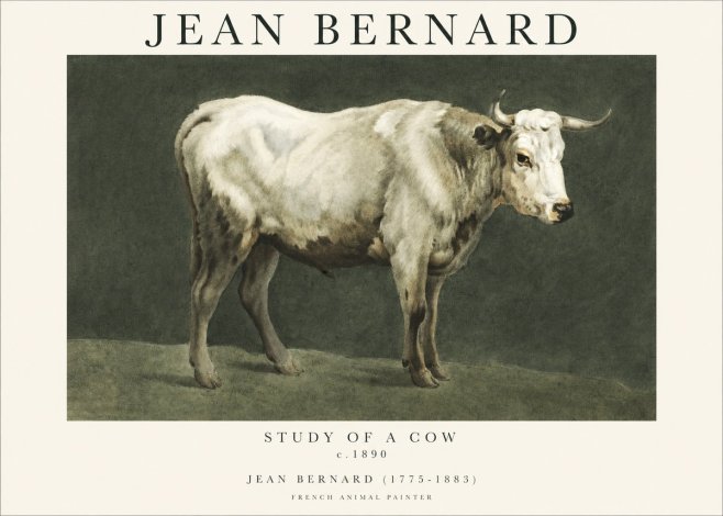 Jean Bernard Study of a Cow C. 1890 No1 - Plakát