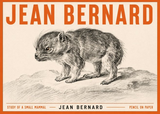 Jean Bernard Study of a Small Mammal No3 - Plakát