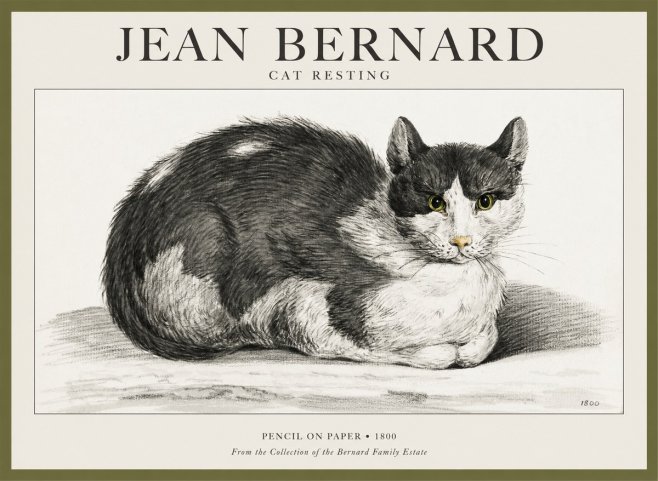 Jean Bernard Cat Resting No1 - Plakát