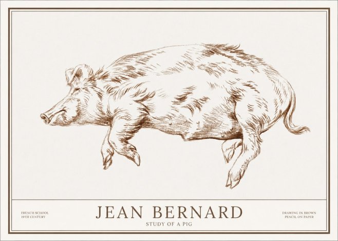 Jean Bernard Study of a Pig II No1 - Plakát