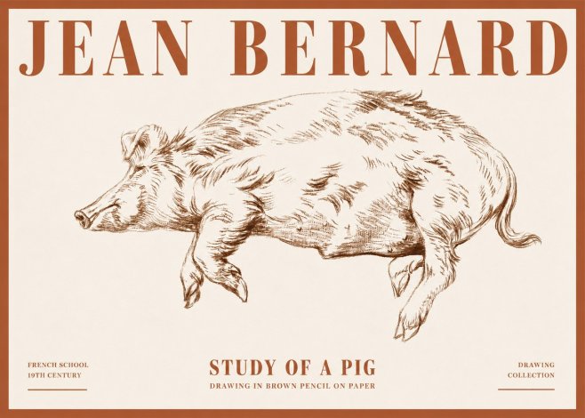 Jean Bernard Study of a Pig II No4 - Plakát