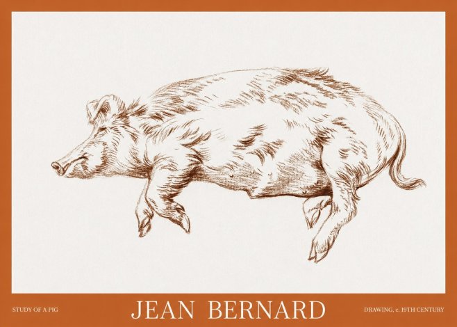 Jean Bernard Study of a Pig II No6 - Plakát