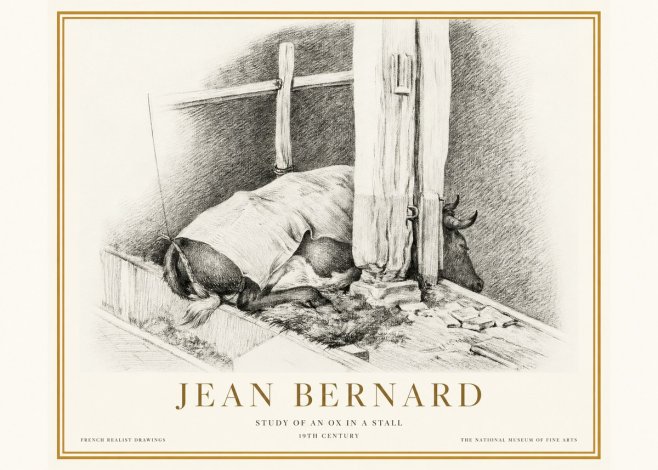 Jean Bernard The Resting Ox No5 - Plakát