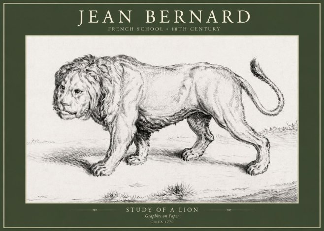 Jean Bernard Study of a Lion II No5 - Plakát