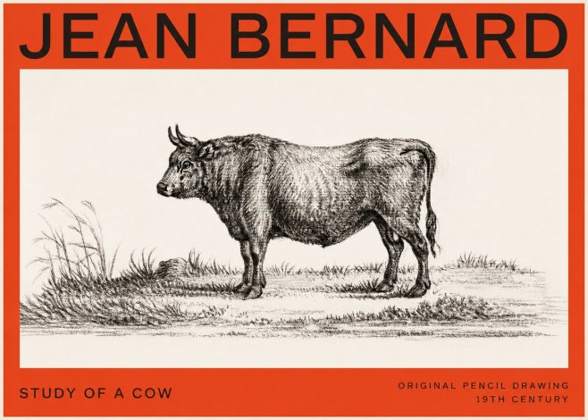Jean Bernard Study of a Cow XIII No4 - Plakát