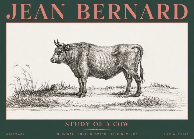 Jean Bernard Study of a Cow XIII No5 - Plakát