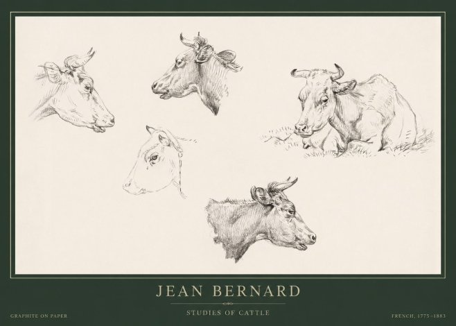 Jean Bernard Studies of Cows I No5 - Plakát