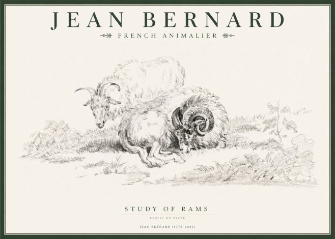 Jean Bernard Study of Sheep No2 - Plakát