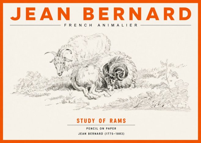 Jean Bernard Study of Sheep No3 - Plakát