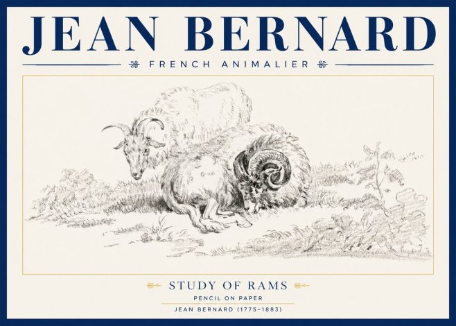 Jean Bernard Study of Sheep No4 - Plakát