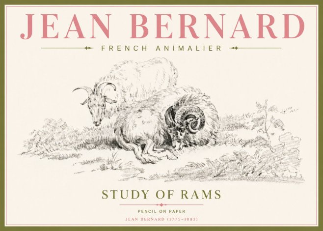 Jean Bernard Study of Sheep No5 - Plakát