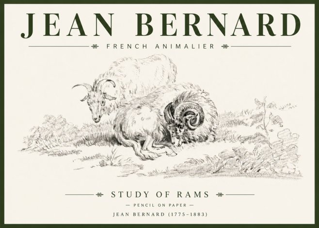 Jean Bernard Study of Sheep No6 - Plakát