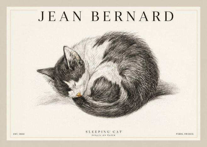 Jean Bernard Sleeping Cat VIII No2 - Plakát