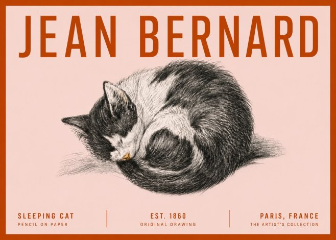 Jean Bernard Sleeping Cat VIII No5 - Plakát