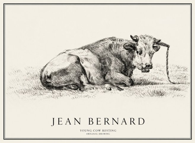 Jean Bernard Young Cow Resting No1 - Plakát