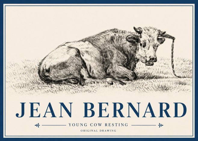 Jean Bernard Young Cow Resting No4 - Plakát