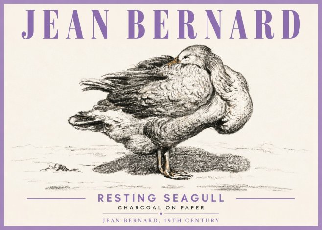 Jean Bernard Resting Seagull No6 - Plakát