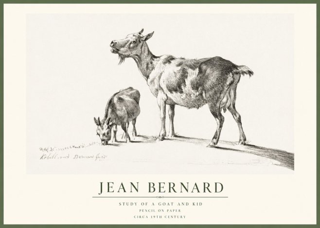 Jean Bernard Study of a Goat and Kid No1 - Plakát