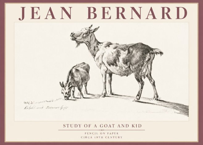 Jean Bernard Study of a Goat and Kid No5 - Plakát