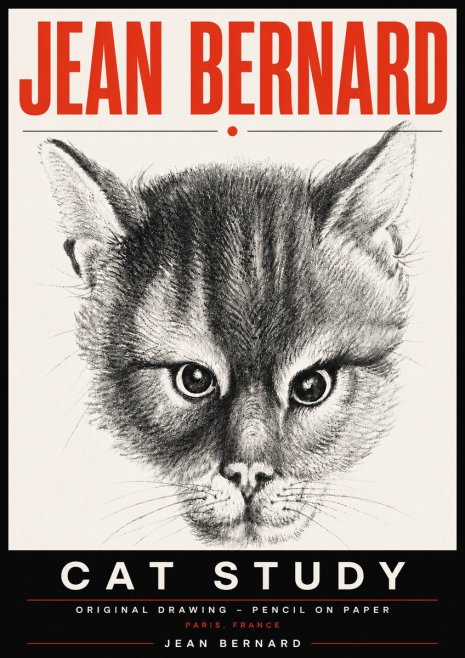 Jean Bernard Cat Study. Original Drawing No6 - Plakát