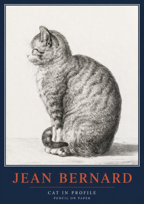 Jean Bernard Cat in Profile No2 - Plakát