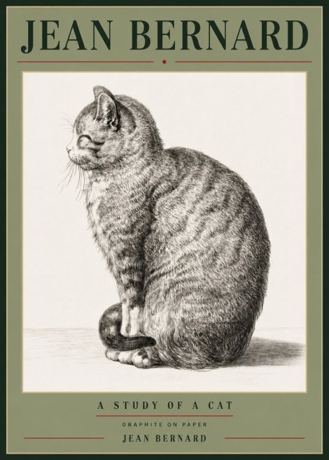 Jean Bernard Cat in Profile No6 - Plakát