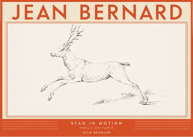 Jean Bernard Stag in Motion No2 - Plakát