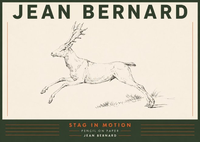 Jean Bernard Stag in Motion No4 - Plakát