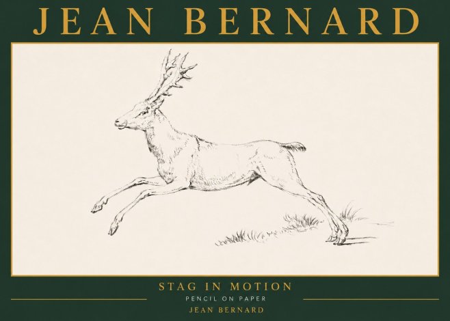 Jean Bernard Stag in Motion No5 - Plakát
