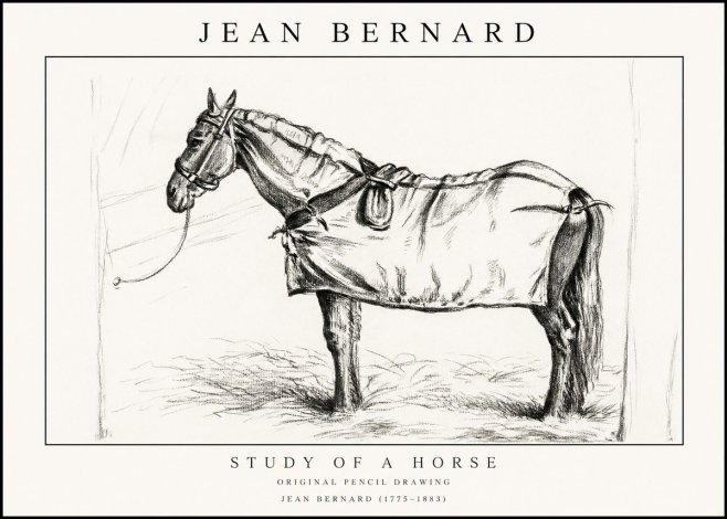 Jean Bernard Study of a Horse XI No1 - Plakát