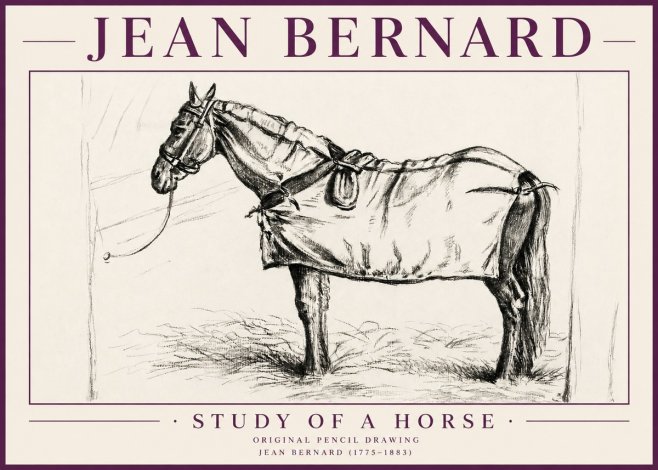 Jean Bernard Study of a Horse XI No4 - Plakát