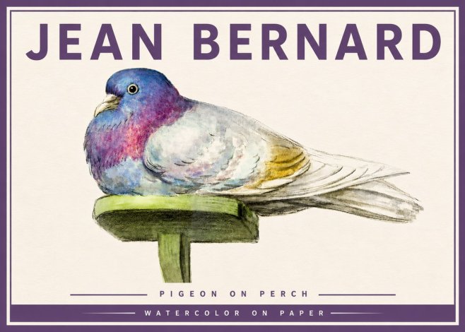 Jean Bernard Pigeon on Perch No4 - Plakát