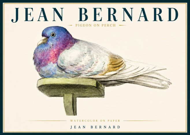 Jean Bernard Pigeon on Perch No5 - Plakát
