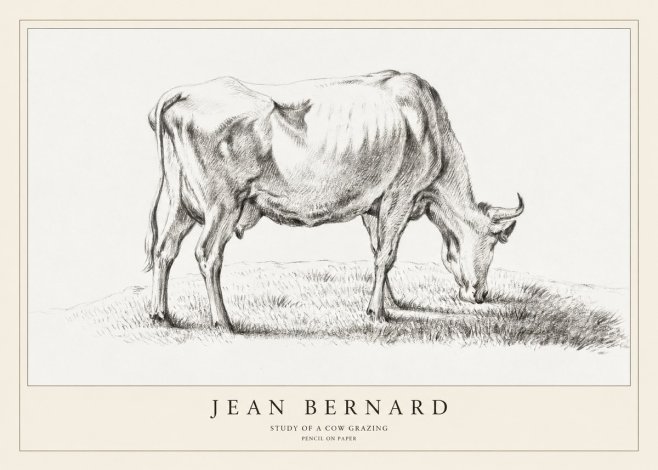 Jean Bernard Study of a Cow Grazing II No1 - Plakát