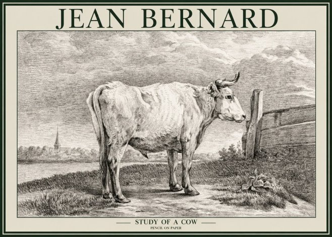 Jean Bernard Study of a Cow XV No2 - Plakát