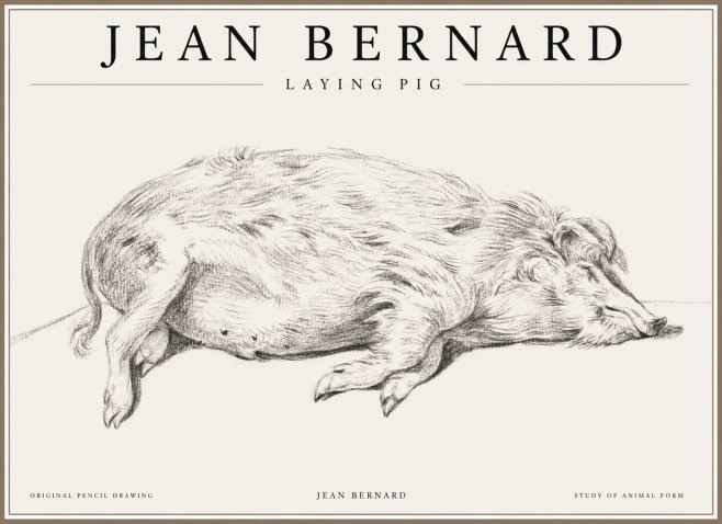 Jean Bernard Laying Pig No1 - Plakát