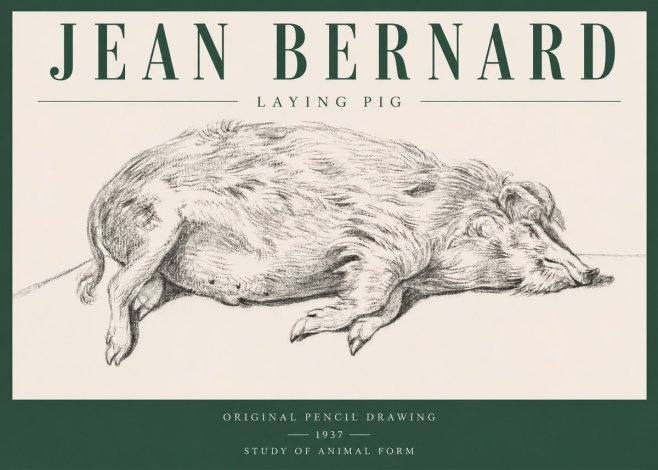 Jean Bernard Laying Pig No3 - Plakát