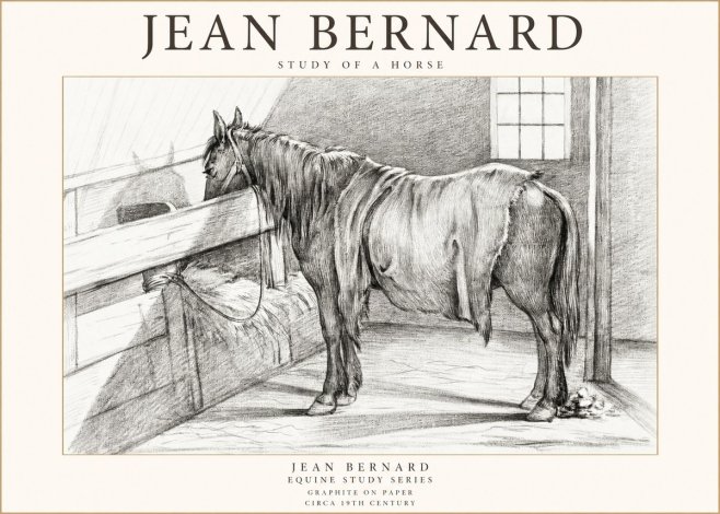 Jean Bernard Study of a Horse XIII No1 - Plakát