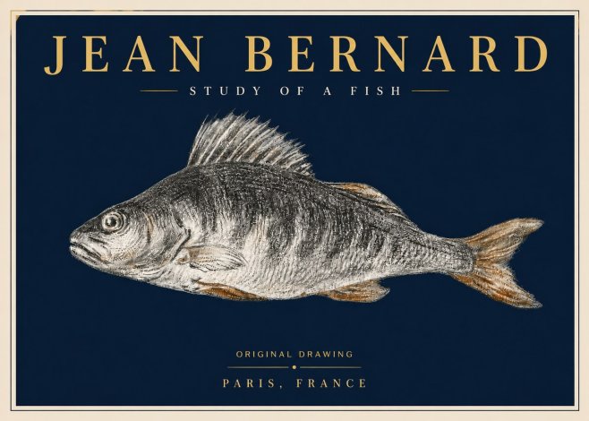 Jean Bernard Study of a Fish IV No6 - Plakát