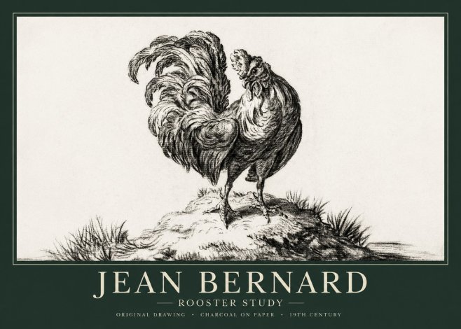 Jean Bernard Study of a Rooster No2 - Plakát
